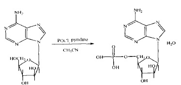合成单磷酸阿糖腺苷的路线1