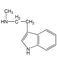 N-ω-甲基色胺