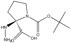 (S)-(-)-N-BOC-L-脯氨酸肼