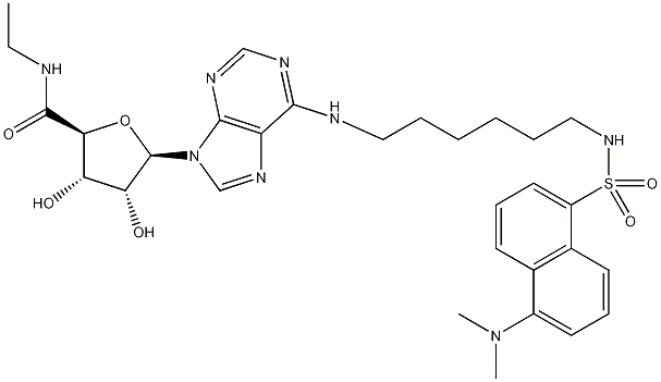 1-脱氧-1-[6-[[6-[[[5-(二甲氨基)-1-萘基]磺酰基]氨基]己基]氨基]-9H-嘌呤-9-基]-N-乙基-β-D-ribofuranuronamide