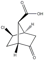 exo-2-氯-5-氧代双环[2.2.1]庚烷核蛋白-7-羧酸
